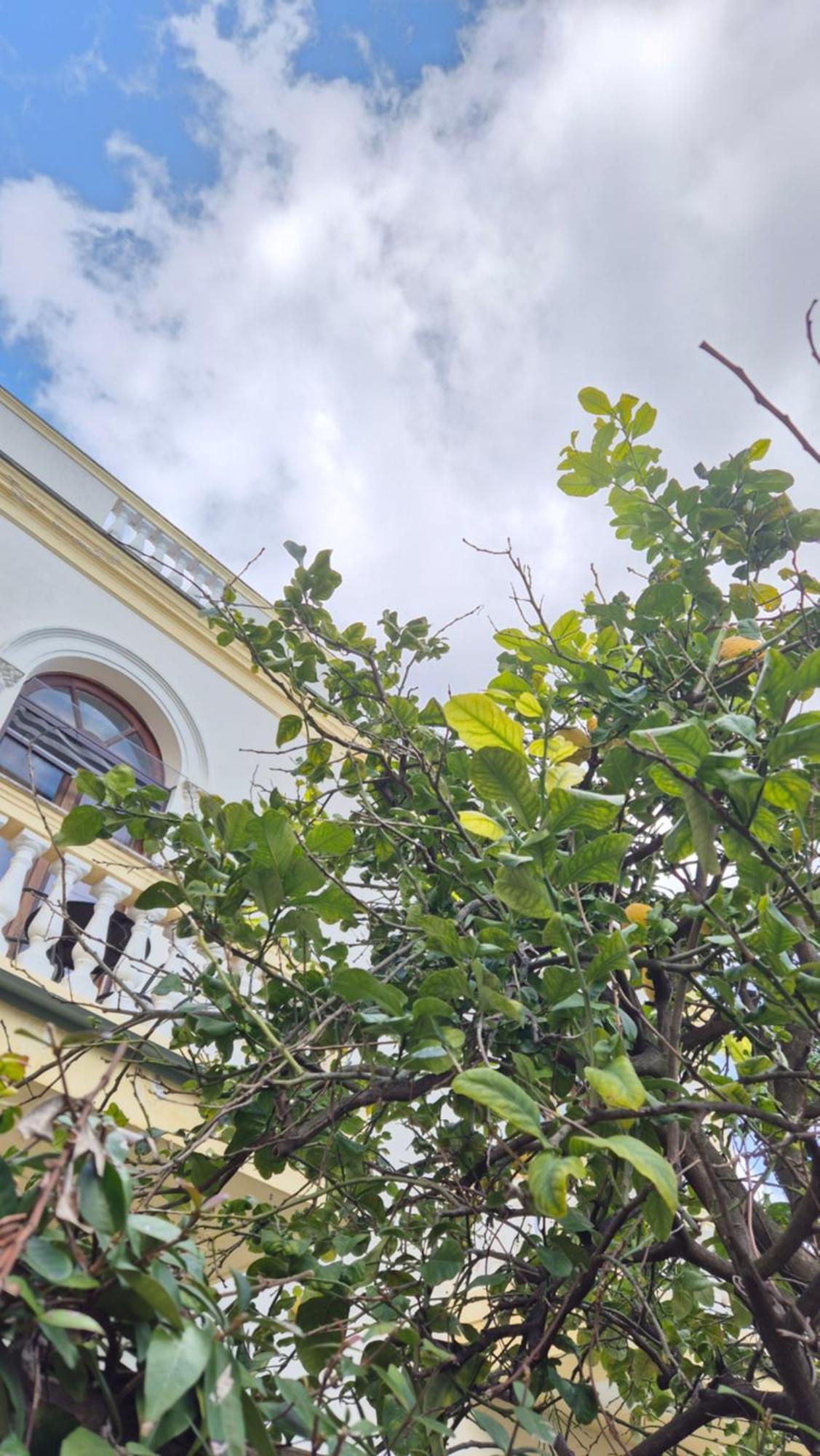 نابولي Relais Villa Montedonzelli المظهر الخارجي الصورة